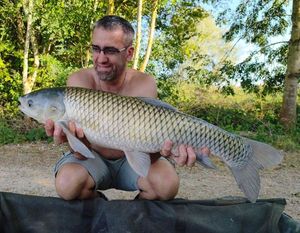 Grass Carp
