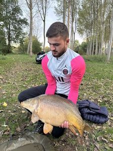 Mirror Carp