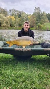 Mirror Carp