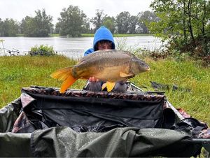 Mirror Carp