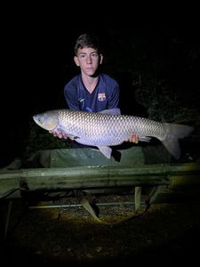 Silver Carp