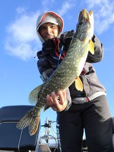 Northern Pike