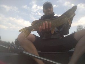 Northern Pike