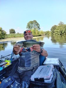 Largemouth Bass