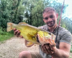 Largemouth Bass