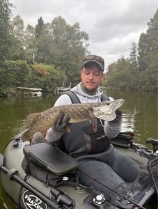 Northern Pike