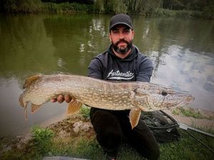 Northern Pike