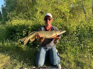 Northern Pike