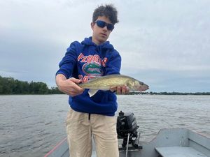 Zander