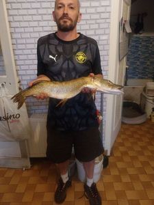 Northern Pike