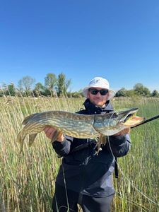 Northern Pike