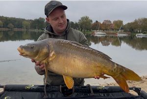 Mirror Carp