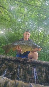 Common Carp
