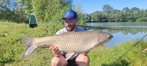 Grass Carp