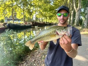 Largemouth Bass