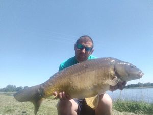 Mirror Carp