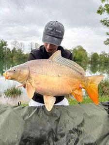 Leather Carp