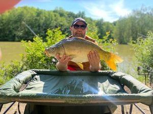 Mirror Carp
