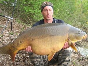 Mirror Carp
