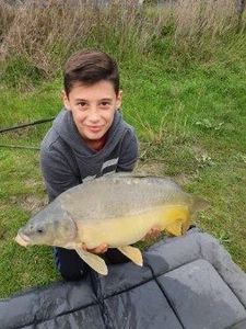 Mirror Carp