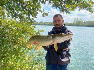 Northern Pike