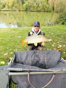 Common Carp