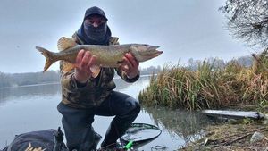 Northern Pike