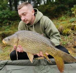 Common Carp