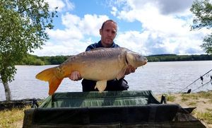 Mirror Carp