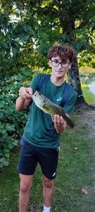 Largemouth Bass