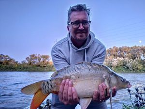 Mirror Carp