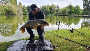 Common Carp