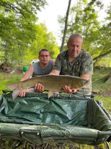 Grass Carp