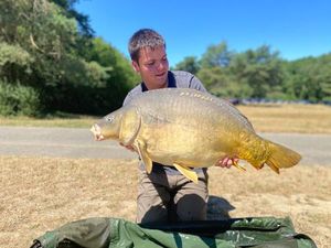 Mirror Carp