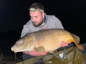 Mirror Carp