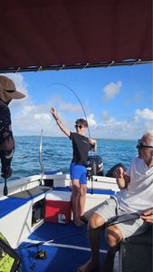 Trumpetfish