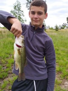 Smallmouth Bass