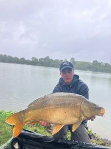 Mirror Carp