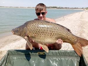 Common Carp