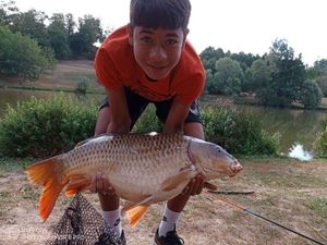 Common Carp