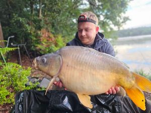 Mirror Carp