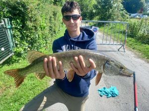 Northern Pike