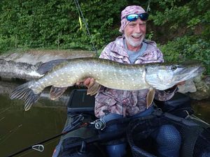 Northern Pike