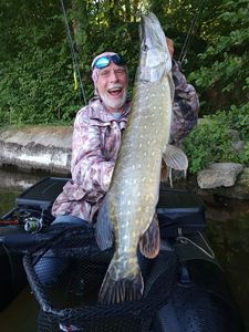Northern Pike