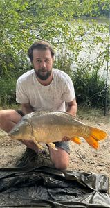 Mirror Carp