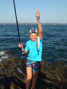 European Bass (Seabass)