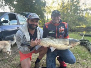 Grass Carp