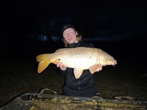 Common Carp