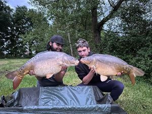 Mirror Carp