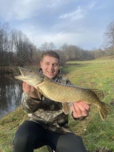 Northern Pike
